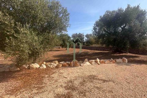 Villa i Carovigno, Brindisi, Carovigno - € 340.000 | Ref: Villa Casellini - foto 11